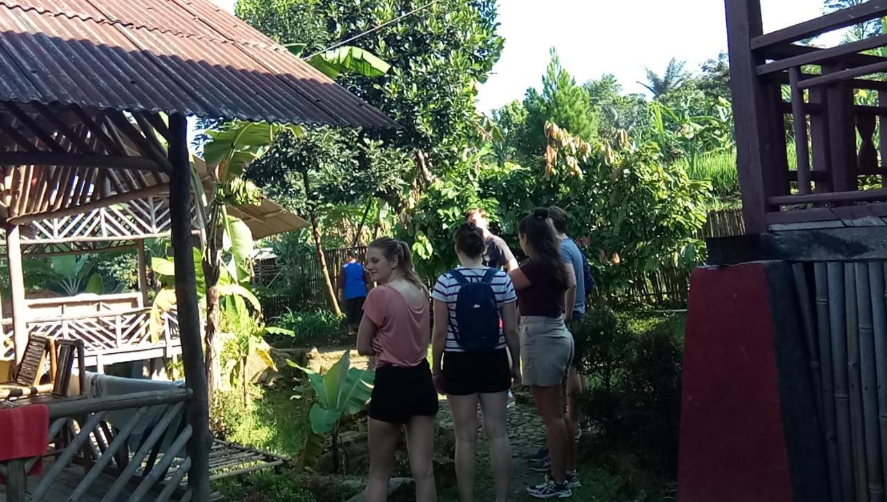 De Salak Homestay Bogor Exterior photo
